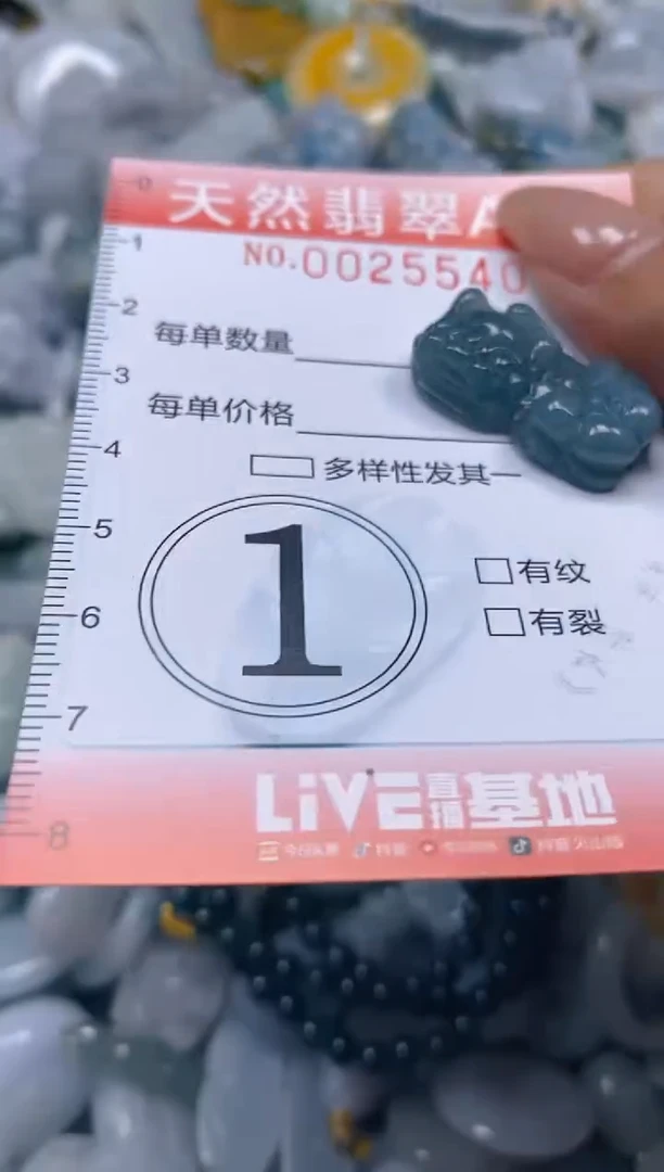 翡翠未镶嵌颈饰闪购0025540