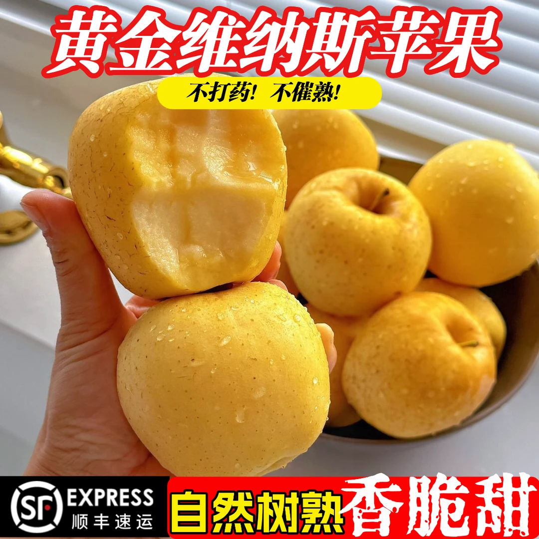 【大凉山越西苹果】野香维纳斯丑苹果外皮丑厚内心脆甜多汁纯甜无酸