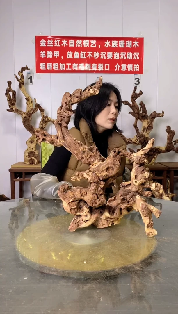 【闪购商品】木金丝红木 羊蹄甲