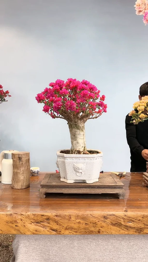 【闪购商品】aa913