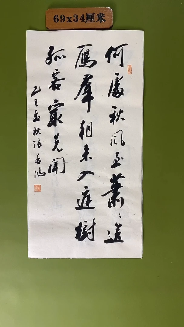 书法书法 张若鸿 尺寸69cm*34cm
