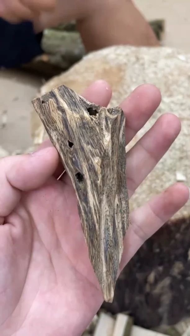 沉香沉香碎屑棋楠沉香 原料文创1