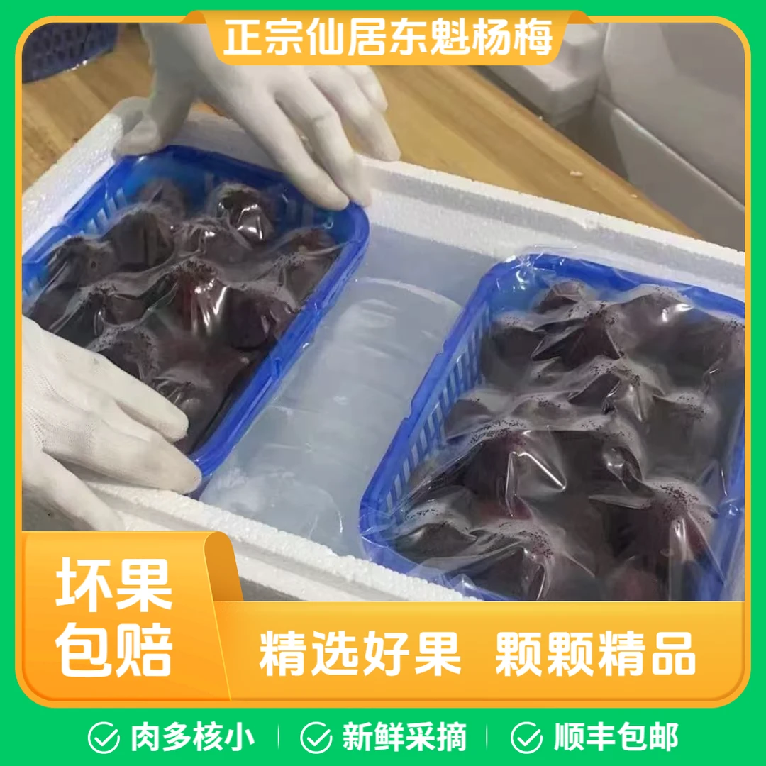 【23-35g】正宗浙江仙居东魁杨梅蓝装5.5斤+半斤运损顺丰包邮空运
