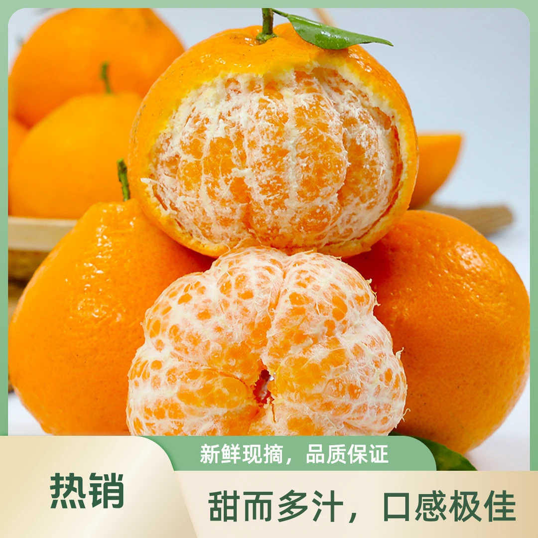 尝鲜价四川春见耙耙柑爆汁超甜春见耙耙柑柑橘大雅柑