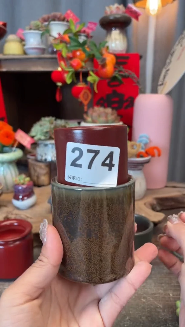 【闪购商品】摆件274知木小芳花盆