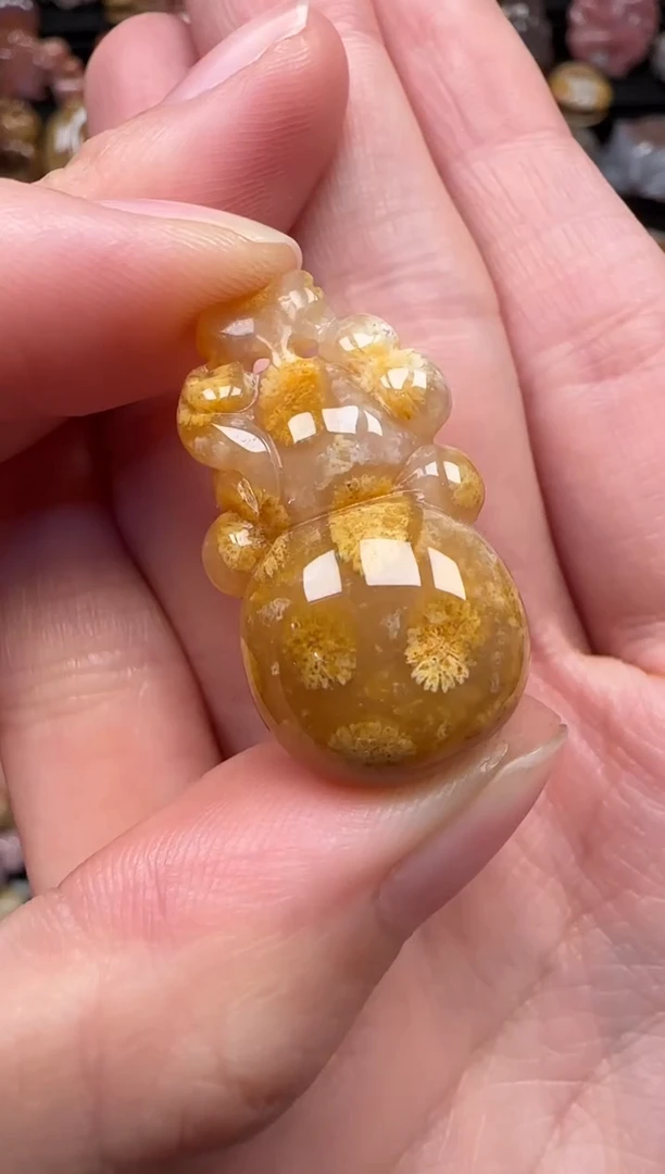 颈饰未镶嵌硅化珊瑚（珊瑚玉）390