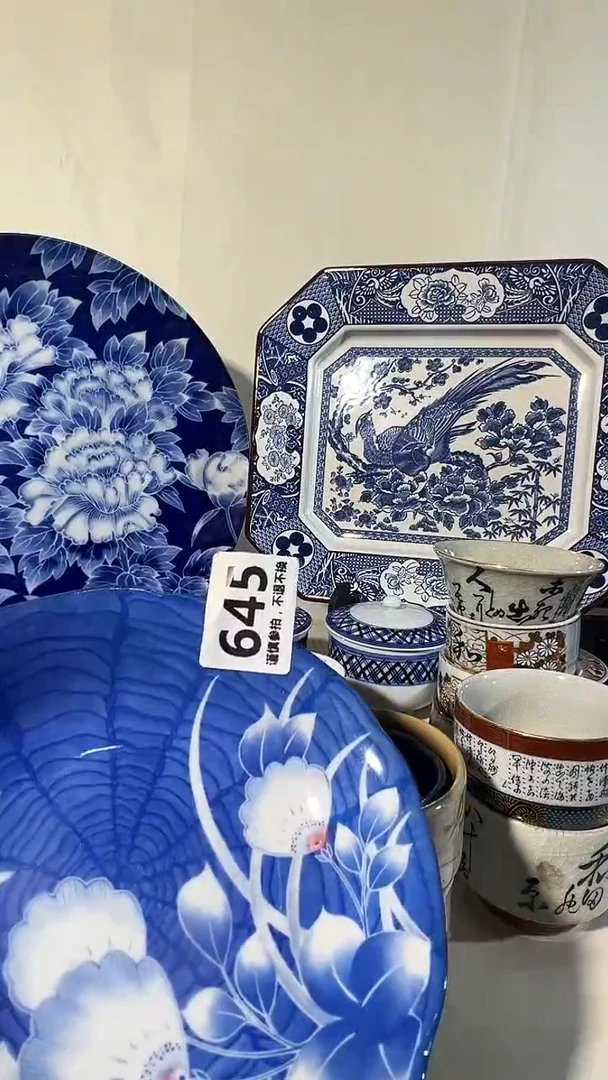 【闪购商品】瓷片645