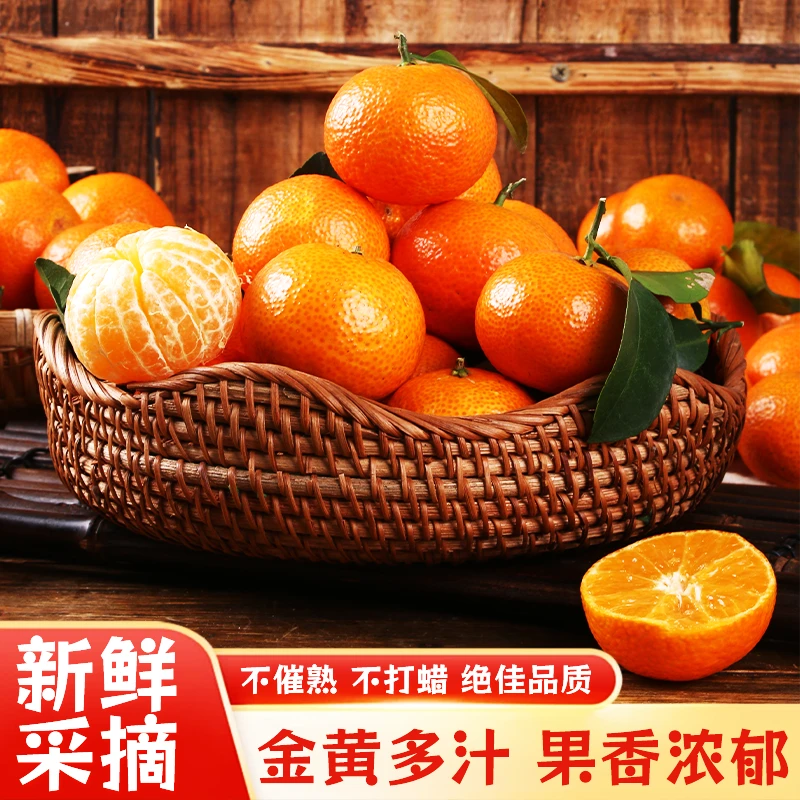 广西砂糖橘当季新鲜水果皮薄多汁香甜可口
