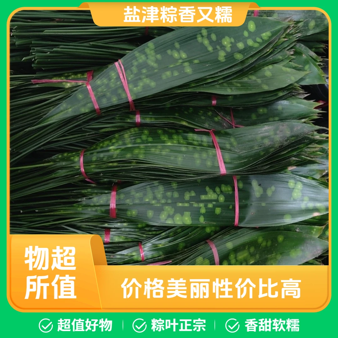 【送棉绳】云南盐津带花粽叶包粽子又香又糯