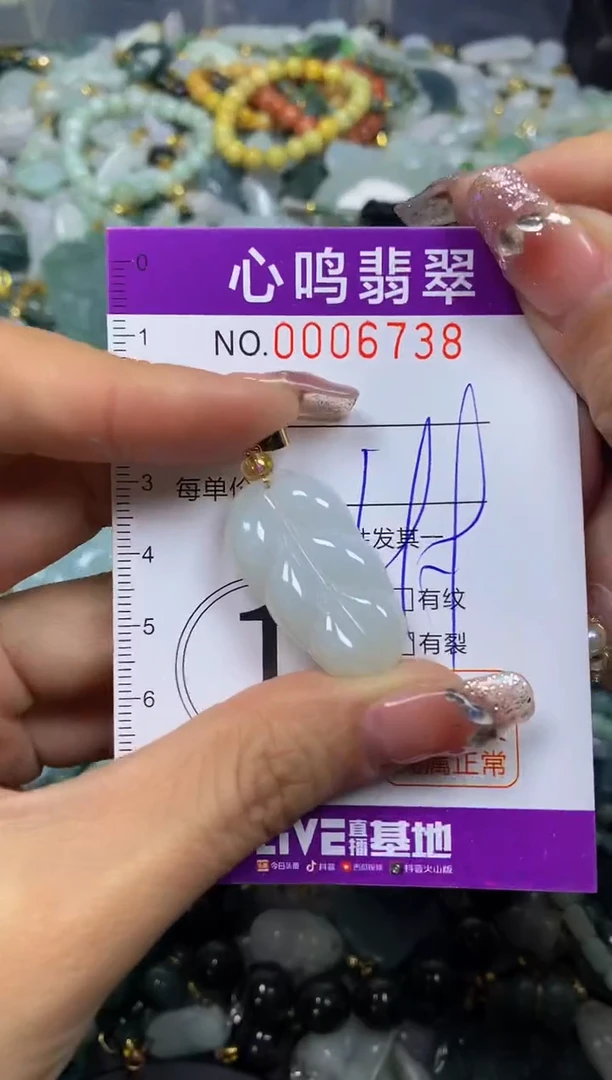 【闪购商品】翡翠颈饰未镶嵌闪购006738