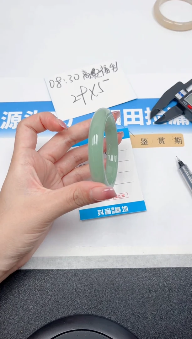 未镶嵌手镯石英质玉88-东陵54.5