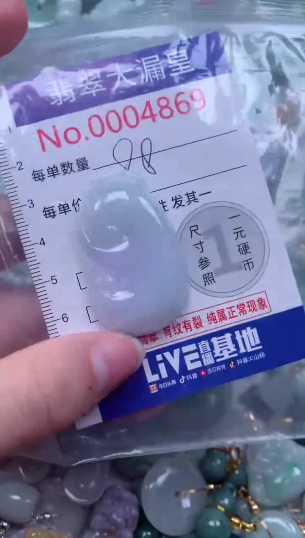 翡翠未镶嵌吊坠(不含链)4869