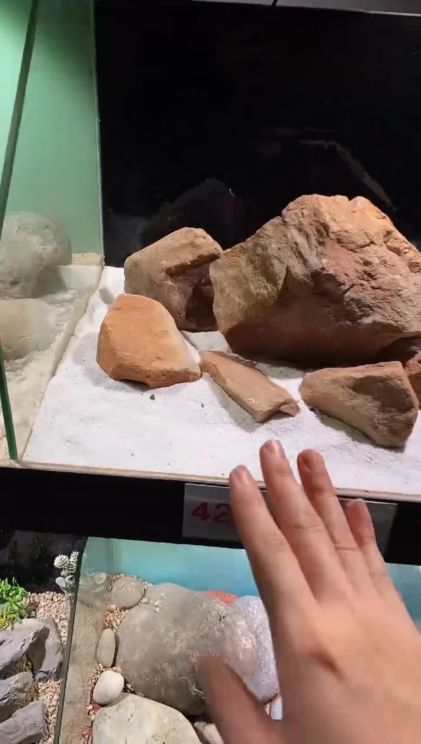 426号鱼缸造景（包含底砂）