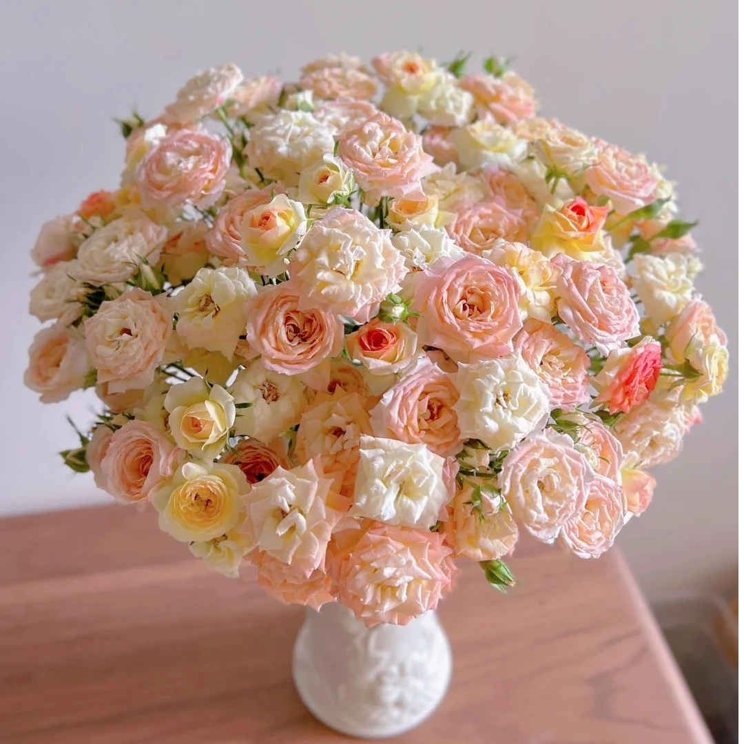 【簪花笑 多头玫瑰 鲜切花/全场任意满两单及以上鲜花包邮发货】