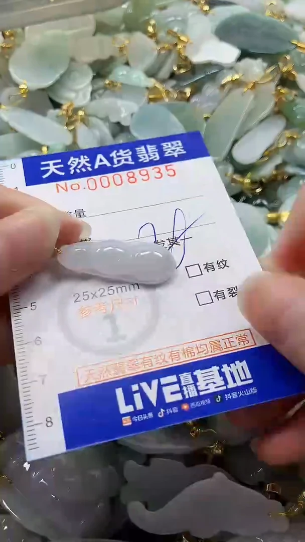 颈饰未镶嵌翡翠纯天然a货翡翠