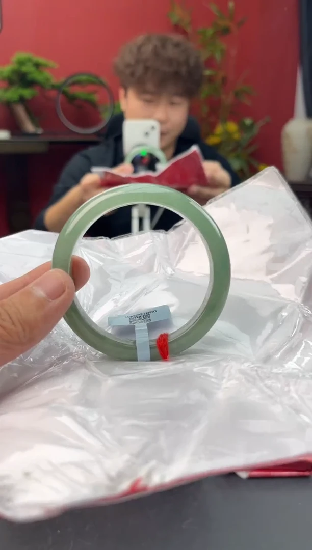 未镶嵌手镯翡翠2