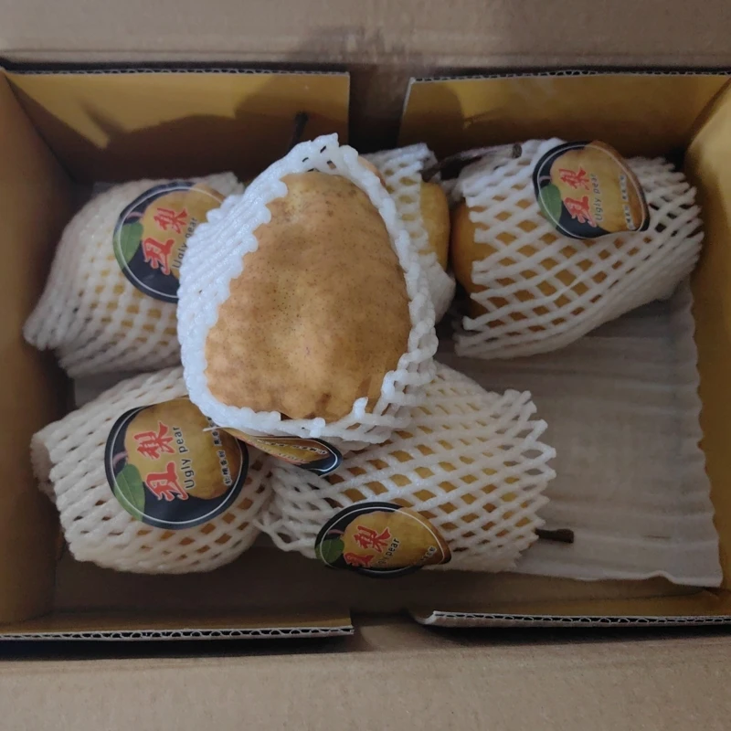 丑梨形态饱满汁水浓郁