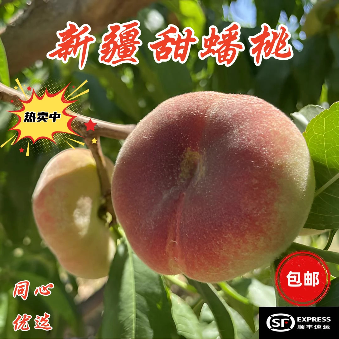 新疆石河子蟠桃正宗甜扁桃子鲜甜多汁当季水果新鲜采摘空运包邮
