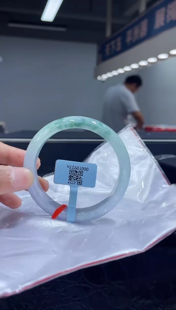 未镶嵌手镯翡翠12