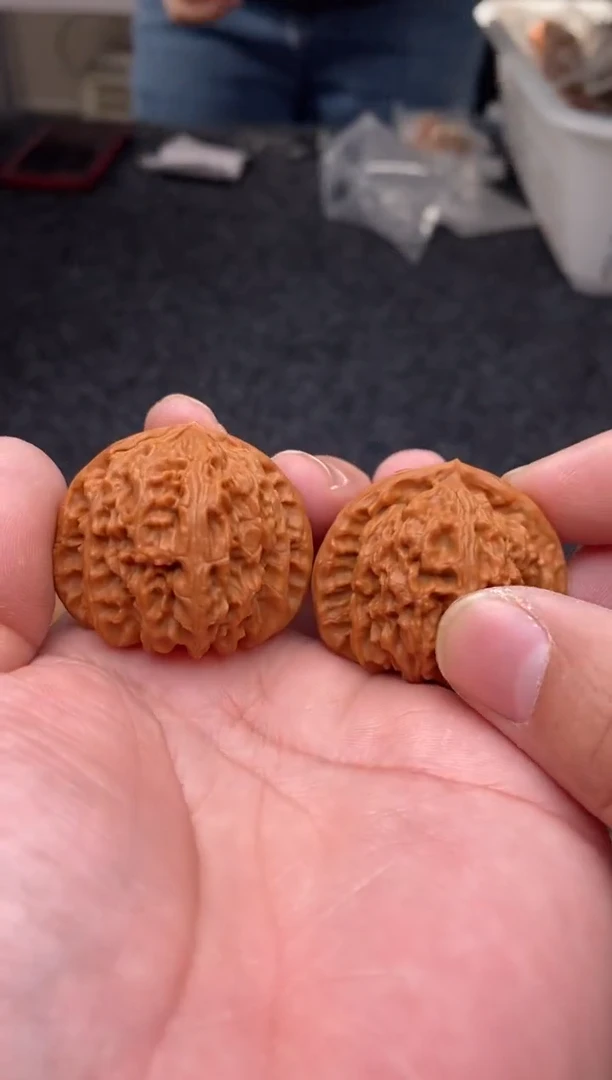 把件文玩核桃B180号白狮子40尺