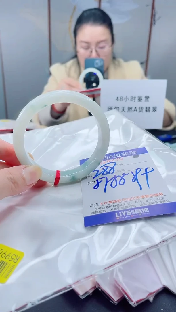 未镶嵌手镯翡翠我2