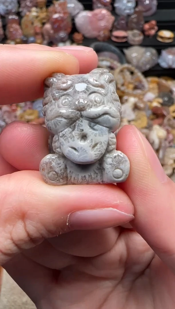 颈饰未镶嵌硅化珊瑚（珊瑚玉）489