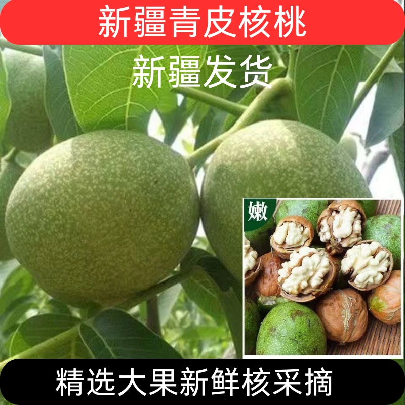 新疆直发青皮核桃新鲜核桃鲜湿核桃美味5斤/9斤现摘现发青皮核桃
