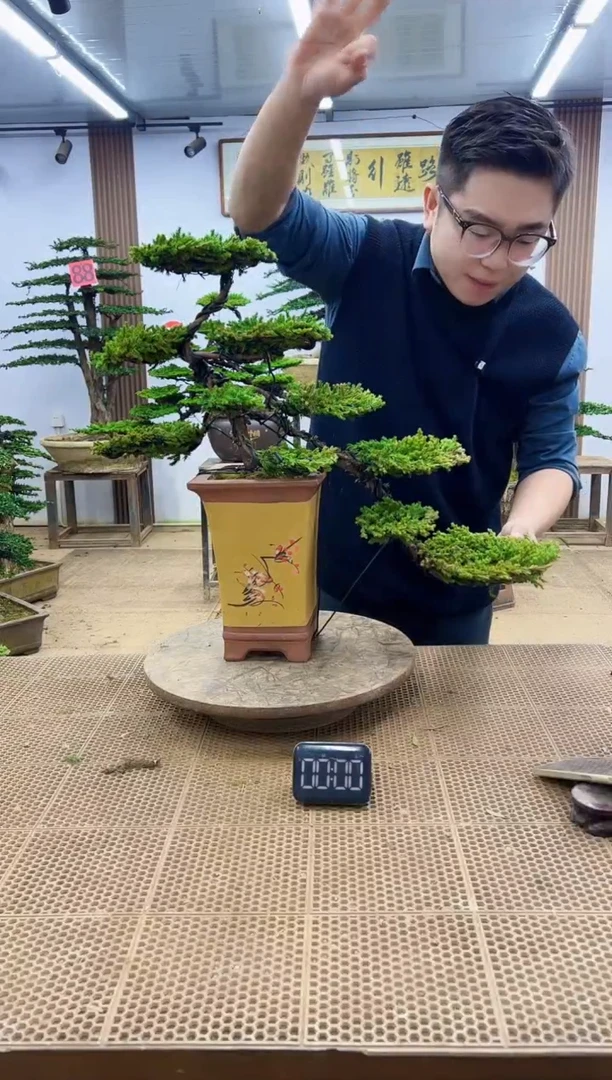 无花朵0000000000000