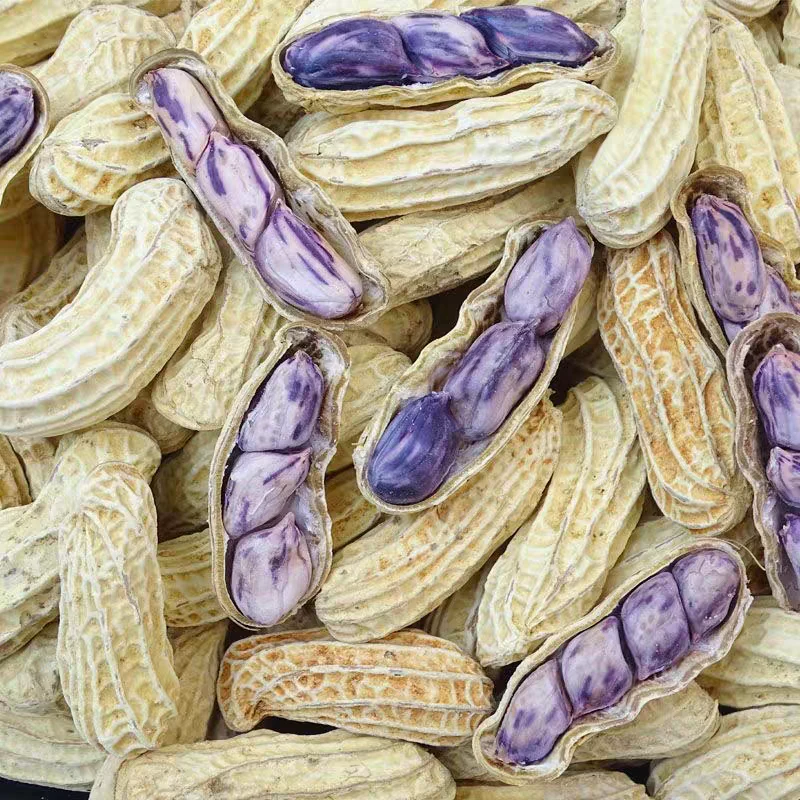 家加友七彩花生龙岩咸干湿烤水煮花生送礼零食蒜味花生怪味花生