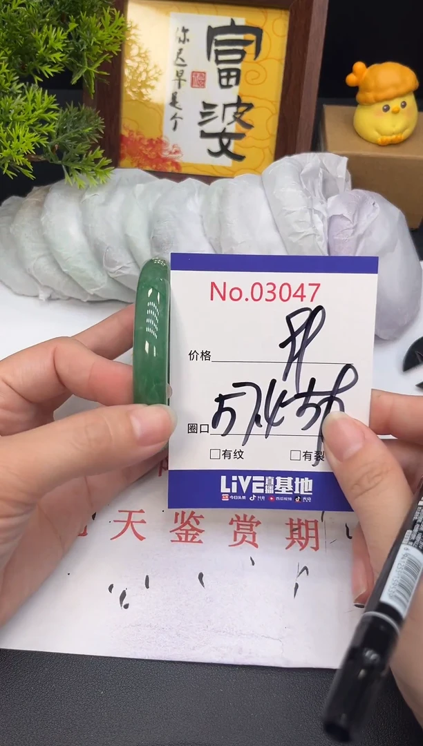 未镶嵌手镯翡翠3047