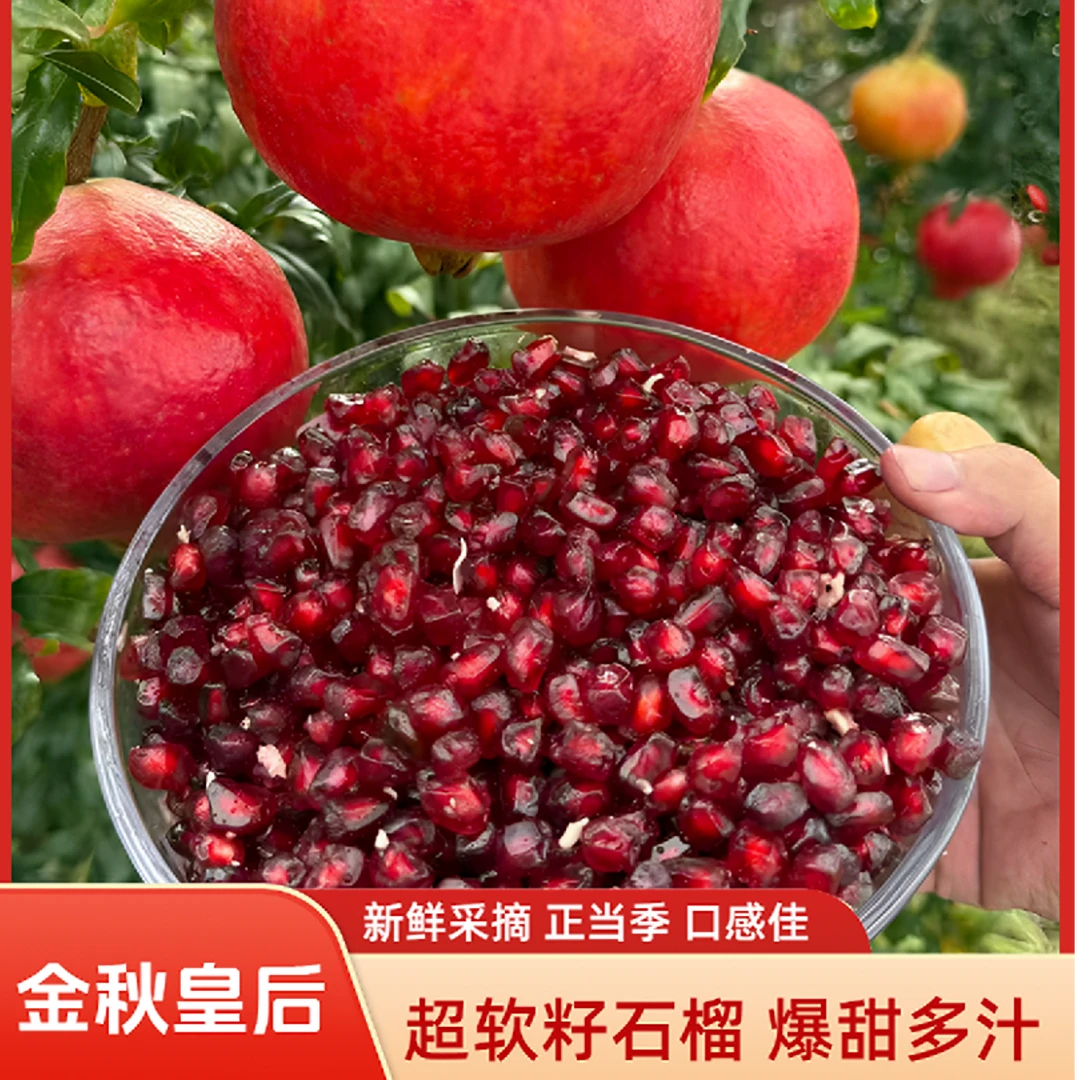 金秋皇后超软籽黑金石榴稀有品种 爆甜多汁新鲜采摘