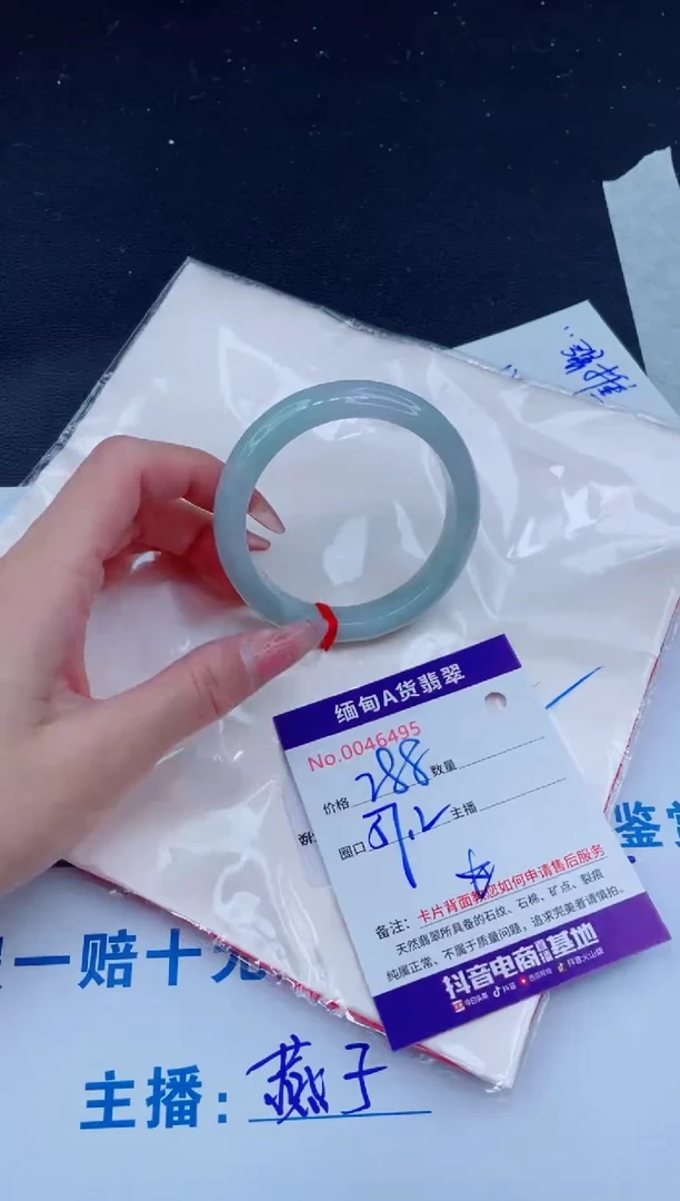 未镶嵌手镯翡翠288
