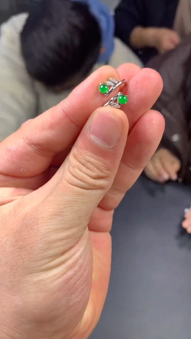 【闪购商品】翡翠戒指未镶嵌0984701146/多样性发一