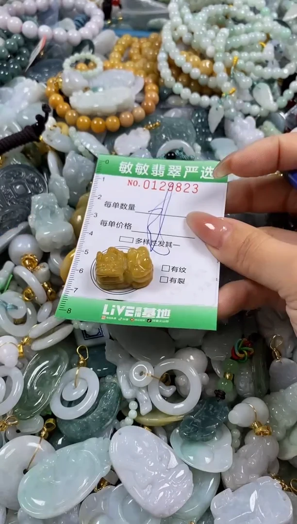【闪购商品】翡翠颈饰未镶嵌闪购0129823