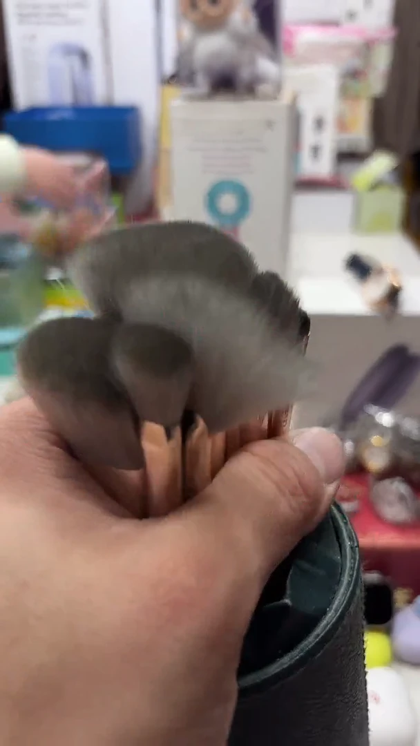 瓷片名品折扣名品折扣名品折扣@@1