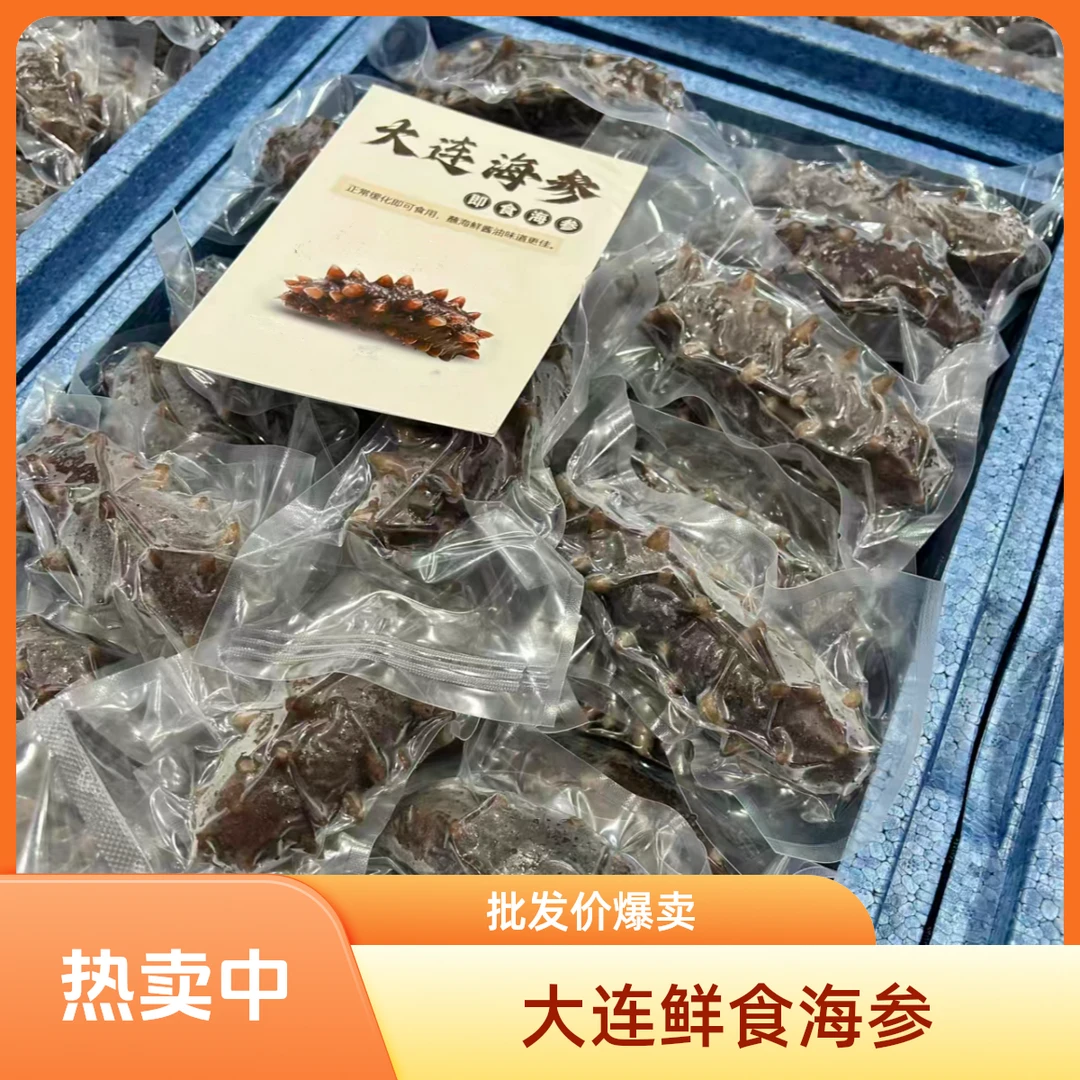 巨藏大连獐子岛底播参鲜食海参辽参刺参即食海参Q弹送礼佳品甄选