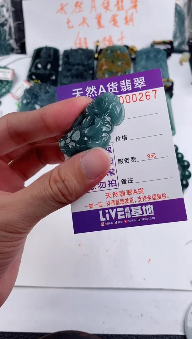 颈饰未镶嵌翡翠  多样性随机一件发货 貔貅38