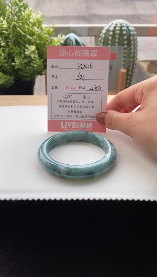 未镶嵌手镯翡翠54圈口 编码 B246