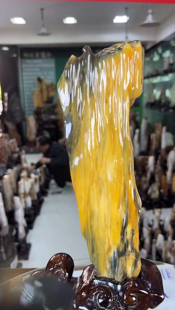 未镶嵌珠宝奇石硅化玉缅甸天然树化玉精品居家摆件