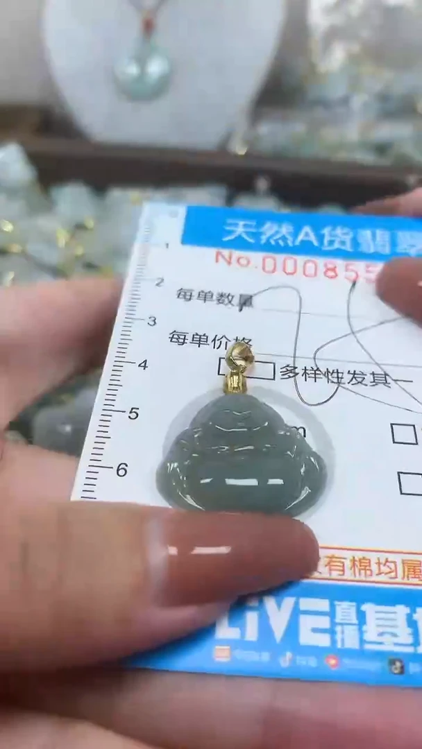 翡翠未镶嵌颈饰净货挂件-8559