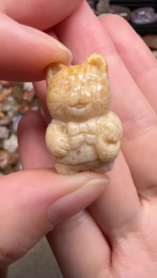 硅化珊瑚（珊瑚玉）未镶嵌颈饰265