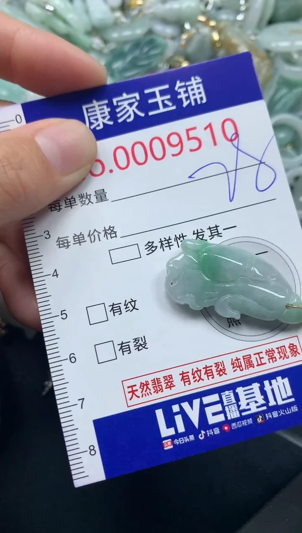 颈饰未镶嵌翡翠9510