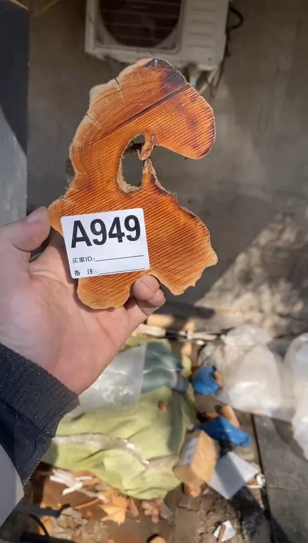 【闪购商品】柏木（崖柏）太行山陈化崖柏（津诚林）切片