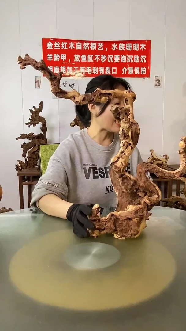 木喜**开金丝红木 羊蹄甲