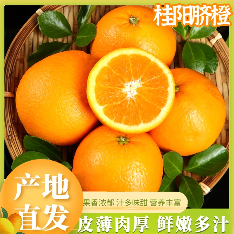 湖南郴州桂阳县新鲜脐橙皮薄肉厚鲜嫩多汁产地直供