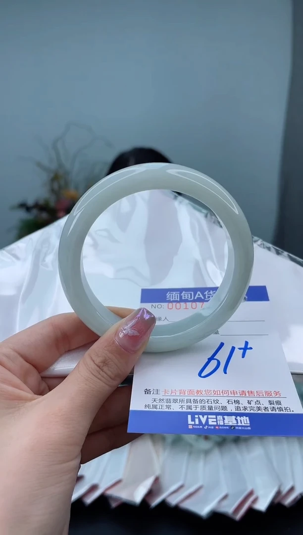 未镶嵌手镯翡翠2