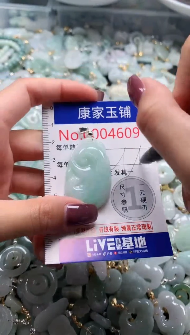 翡翠未镶嵌吊坠(不含链)4609