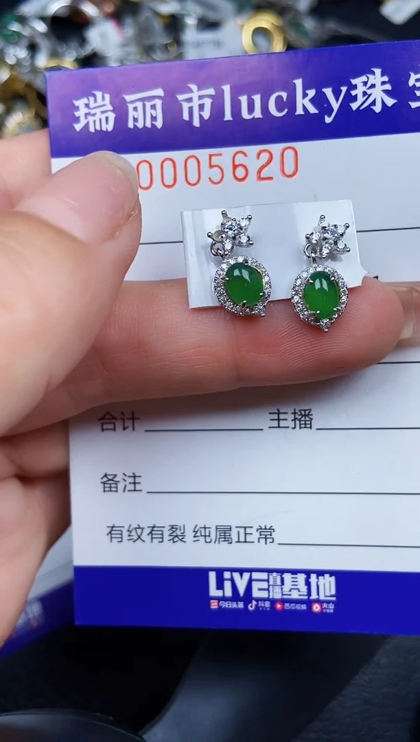 翡翠银S925镶嵌颈饰5620