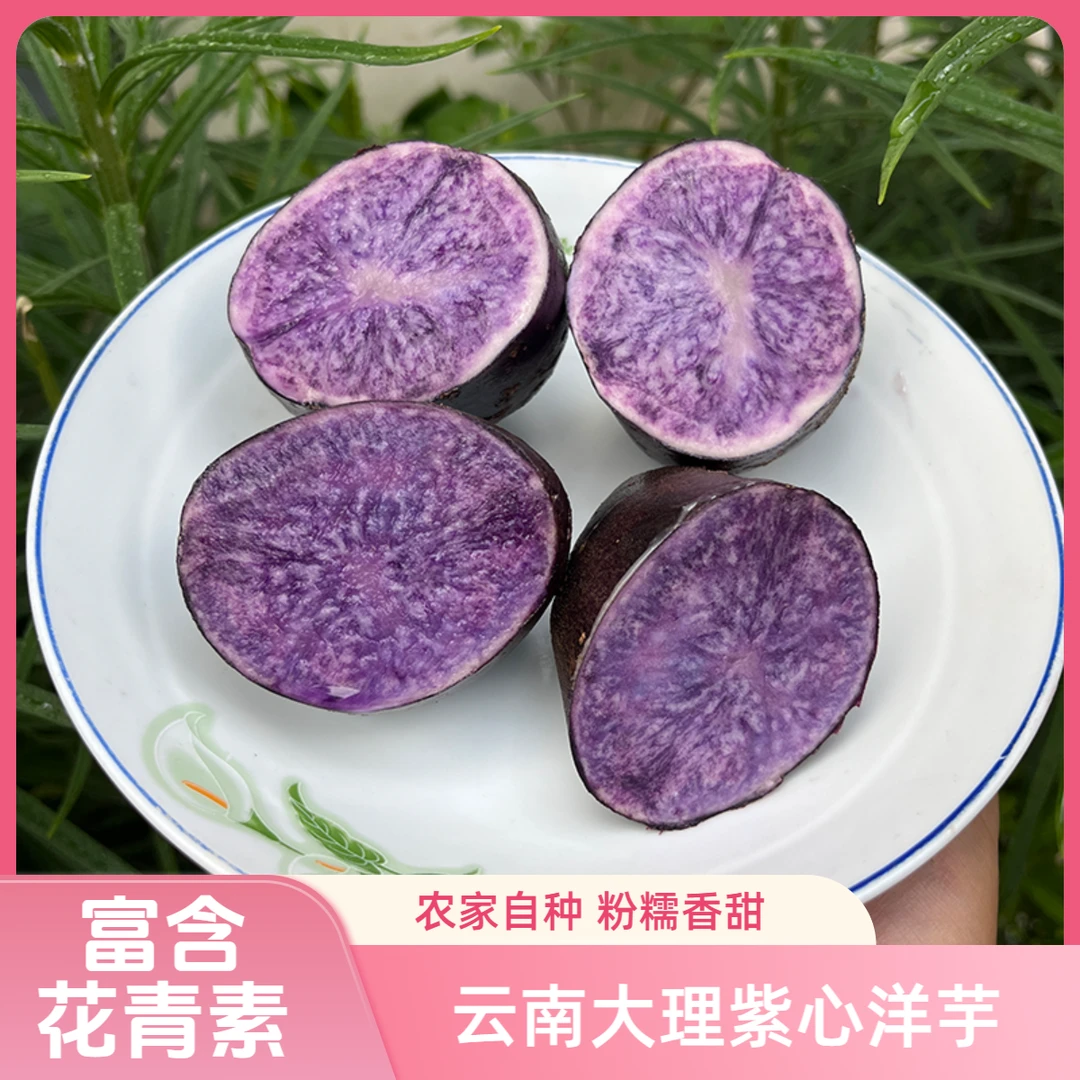 云南大理紫心洋芋新鲜现挖黑土豆紫色马铃薯黑金刚软糯香甜