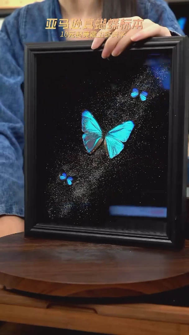 西风闪蝶银河款